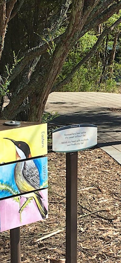 Childrens activities