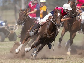 The Chinchilla Australian Polocrosse Nationals 2024 Cover Image