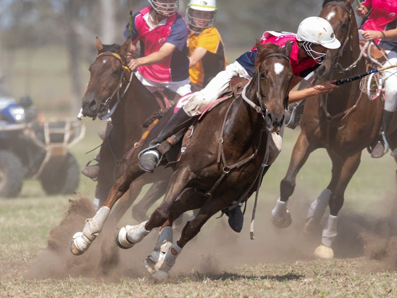 Image for The Chinchilla Australian Polocrosse Nationals 2024
