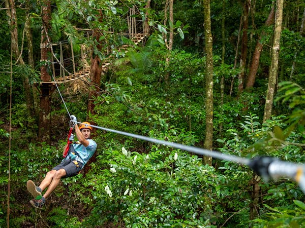 Treetops Adventure Cape Tribulation