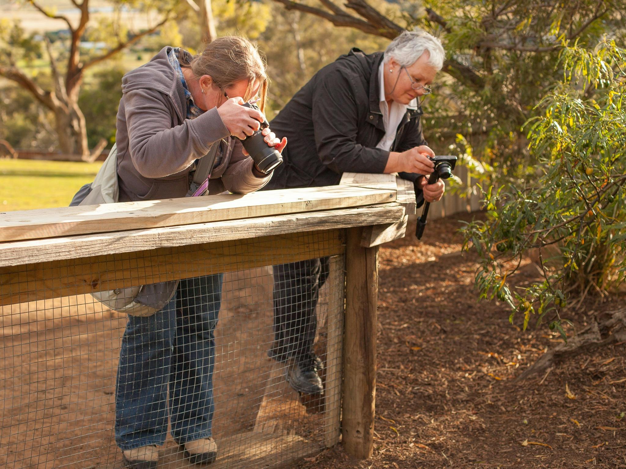 participants and instructor during wildlife photography workshop