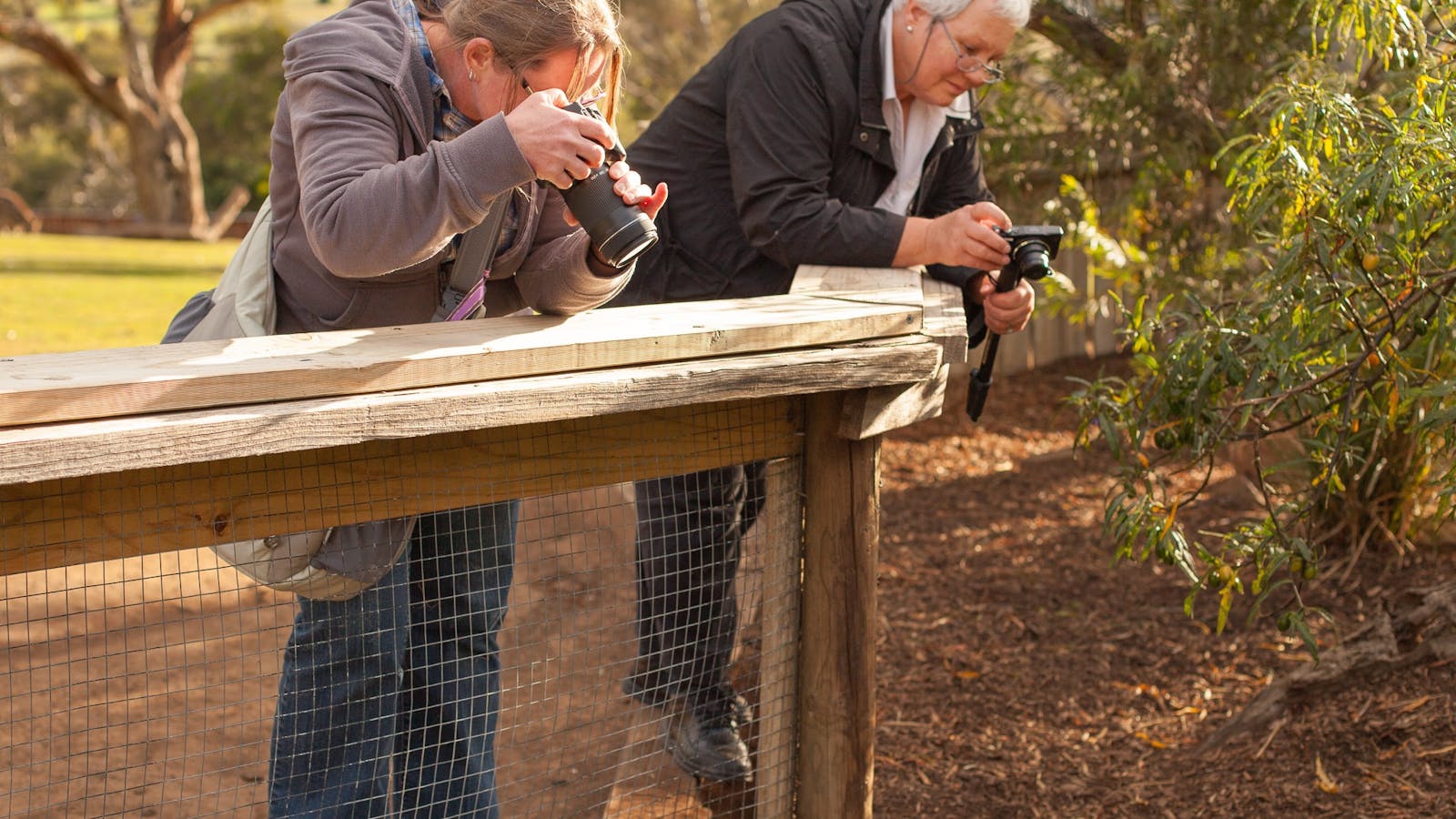 Wildlife Photography workshop at Bonorong Wildlife Sanctuary