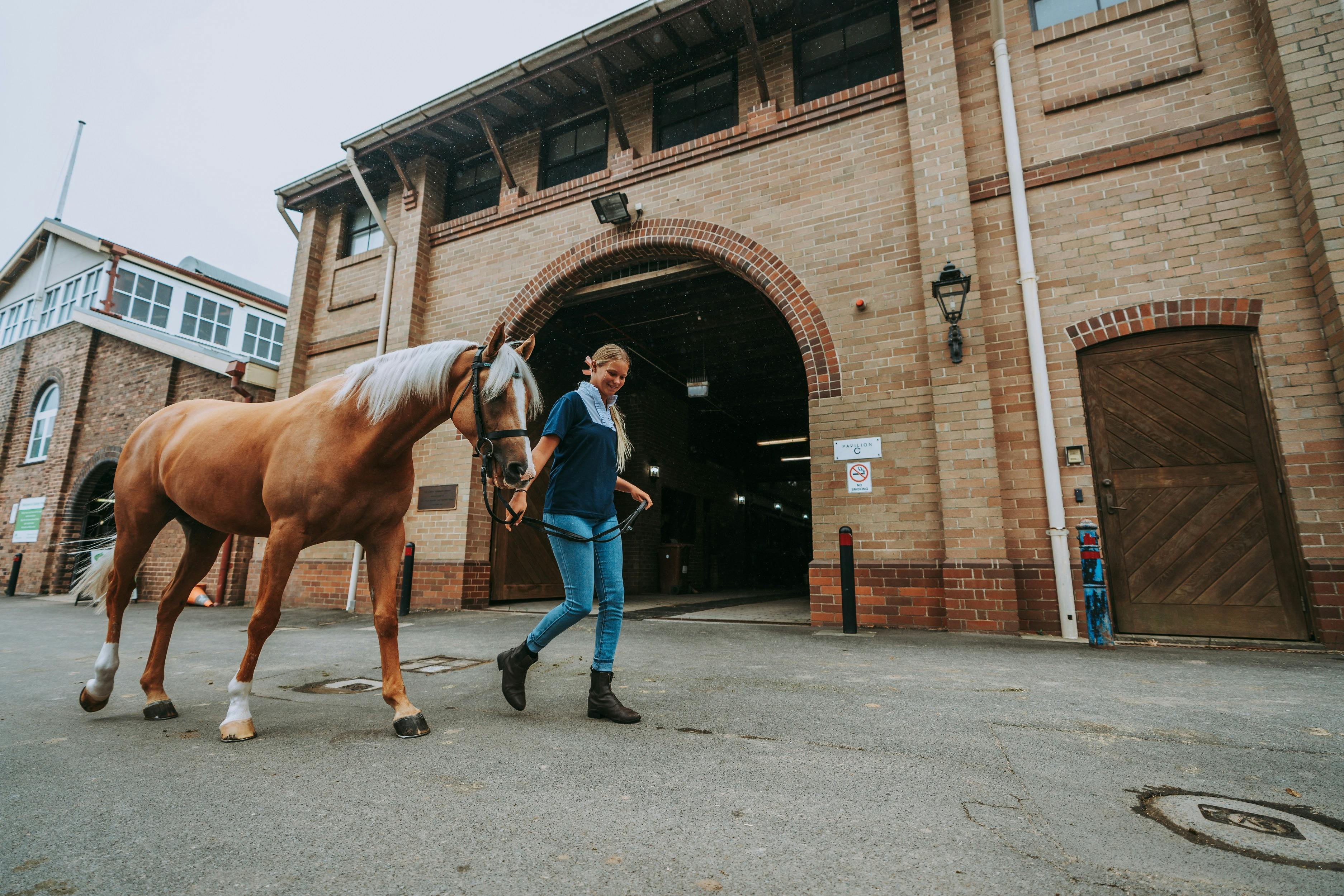 Centennial Parklands Reitzentrum