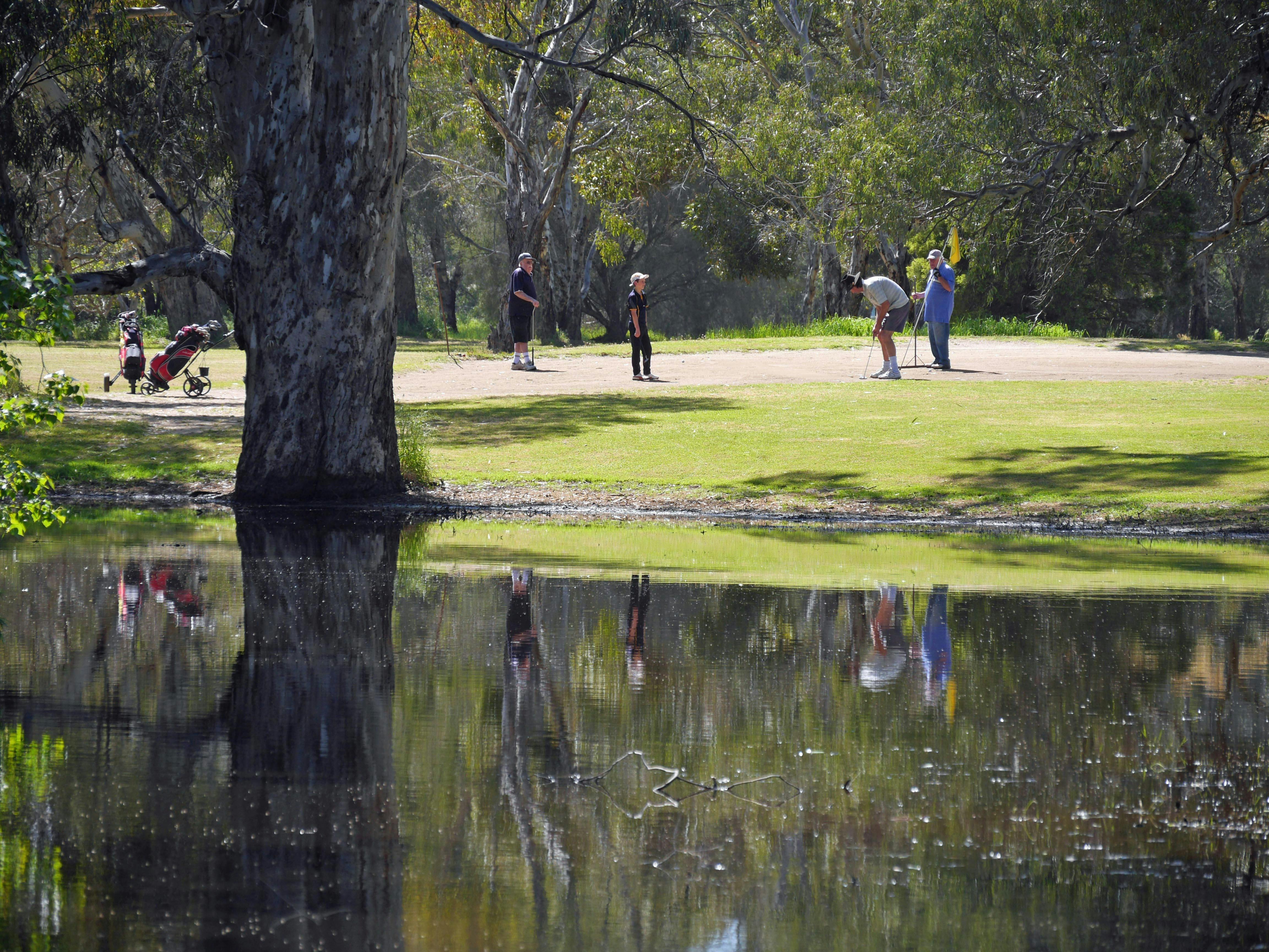Four golfers, one about to putt, golf bags, trees reflected in water, grass, sunny day.