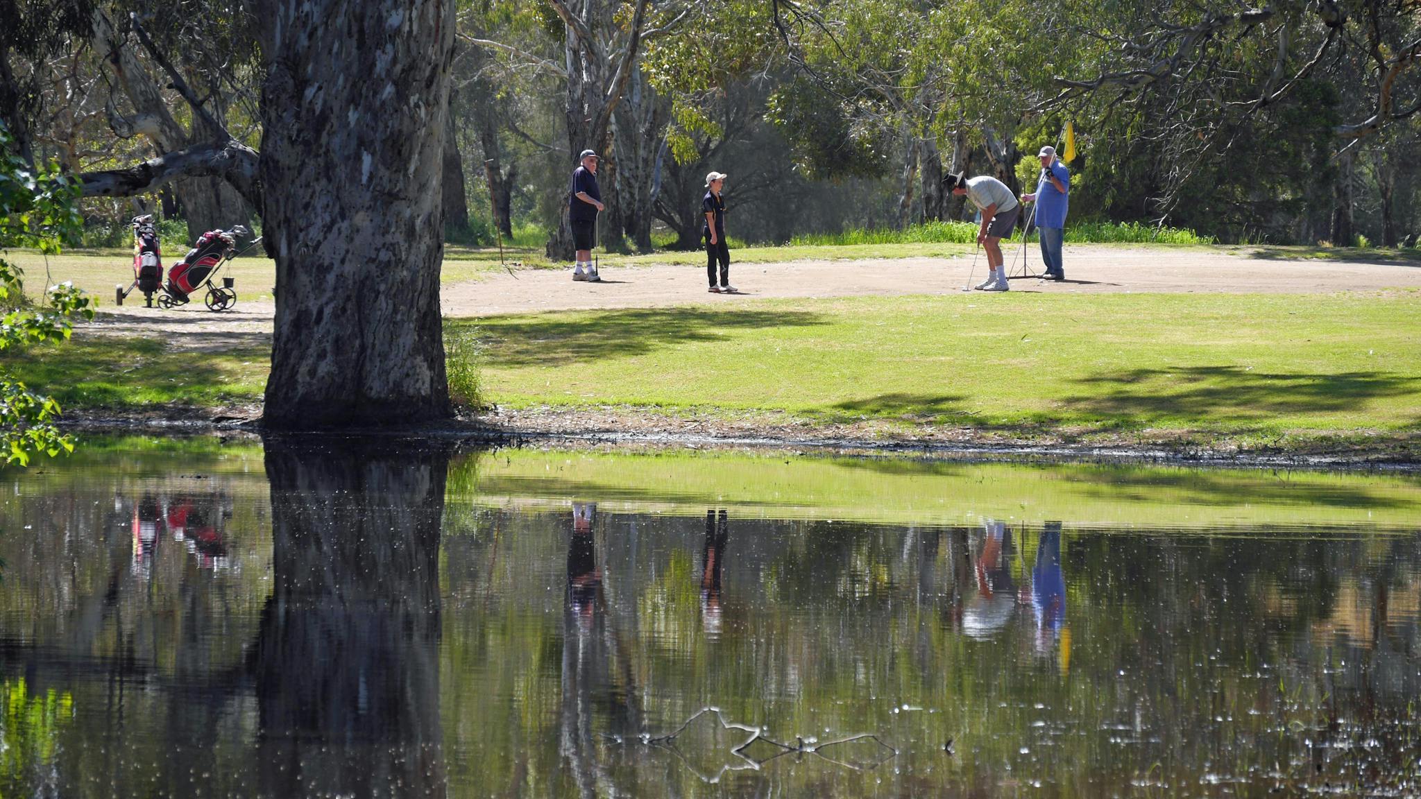 Four golfers, one about to putt, golf bags, trees reflected in water, grass, sunny day.