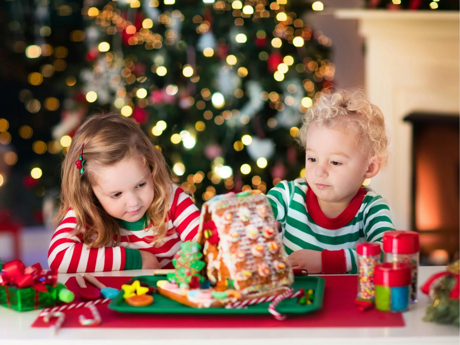 https://emuridgeeucalyptus.rezdy.com/611009/make-a-ginger-bread-house-workshop
