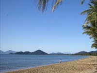 Palm Cove