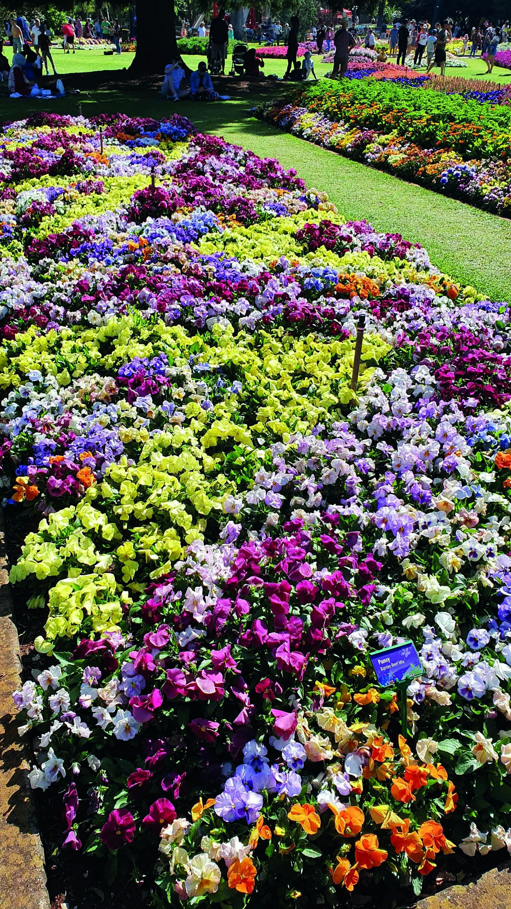 Toowoomba Parks and Gardens