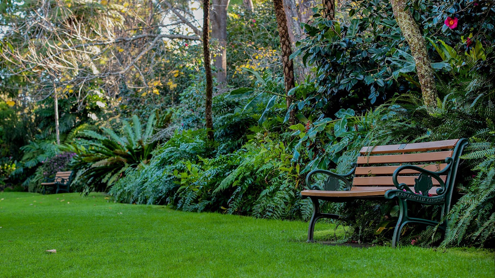 EG Waterhouse National Camellia Gardens