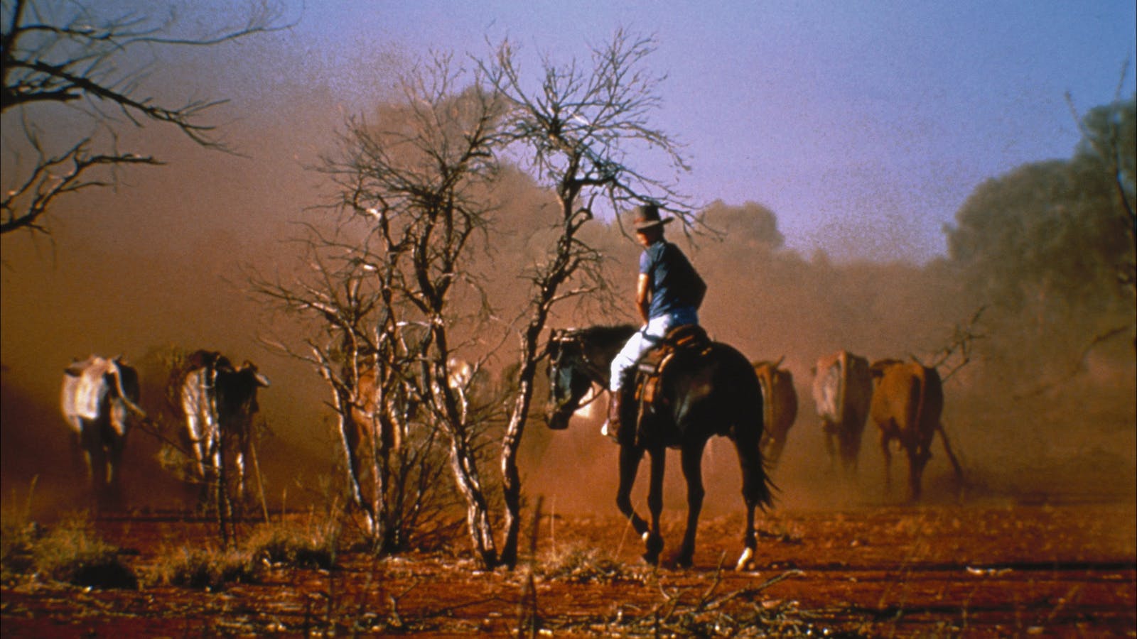 Travel the Mining Trail