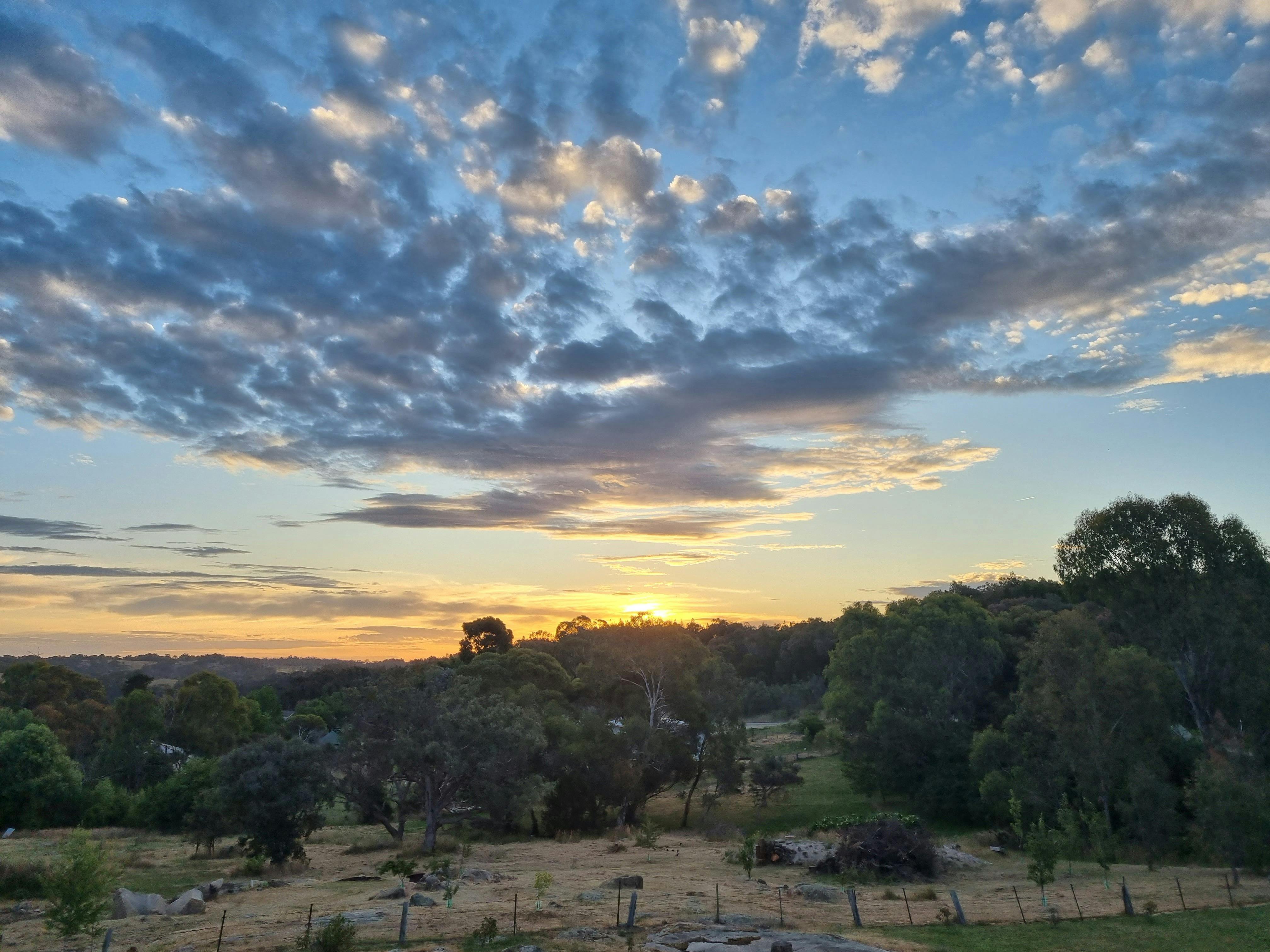 Sunsets from the King Suites