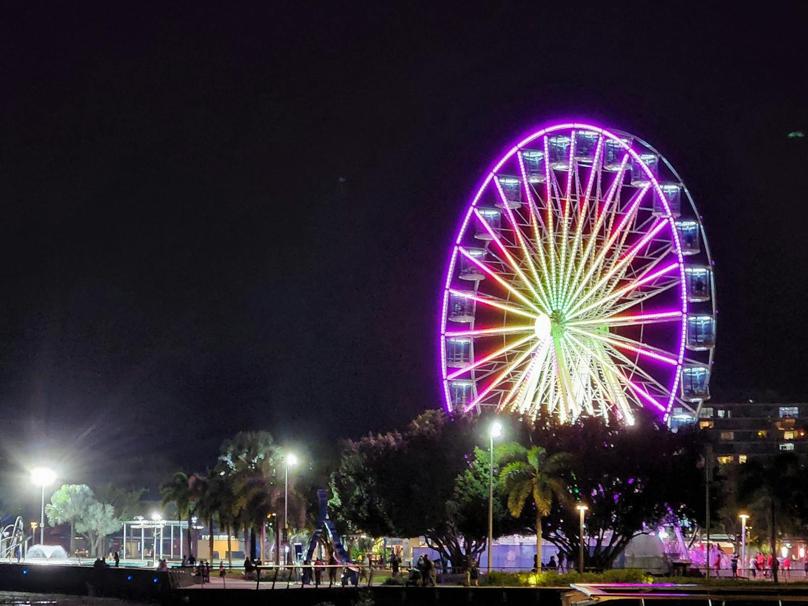 A beautiful night on the Cairns Esplanade. A beautiful night on the Cairns Esplanade.