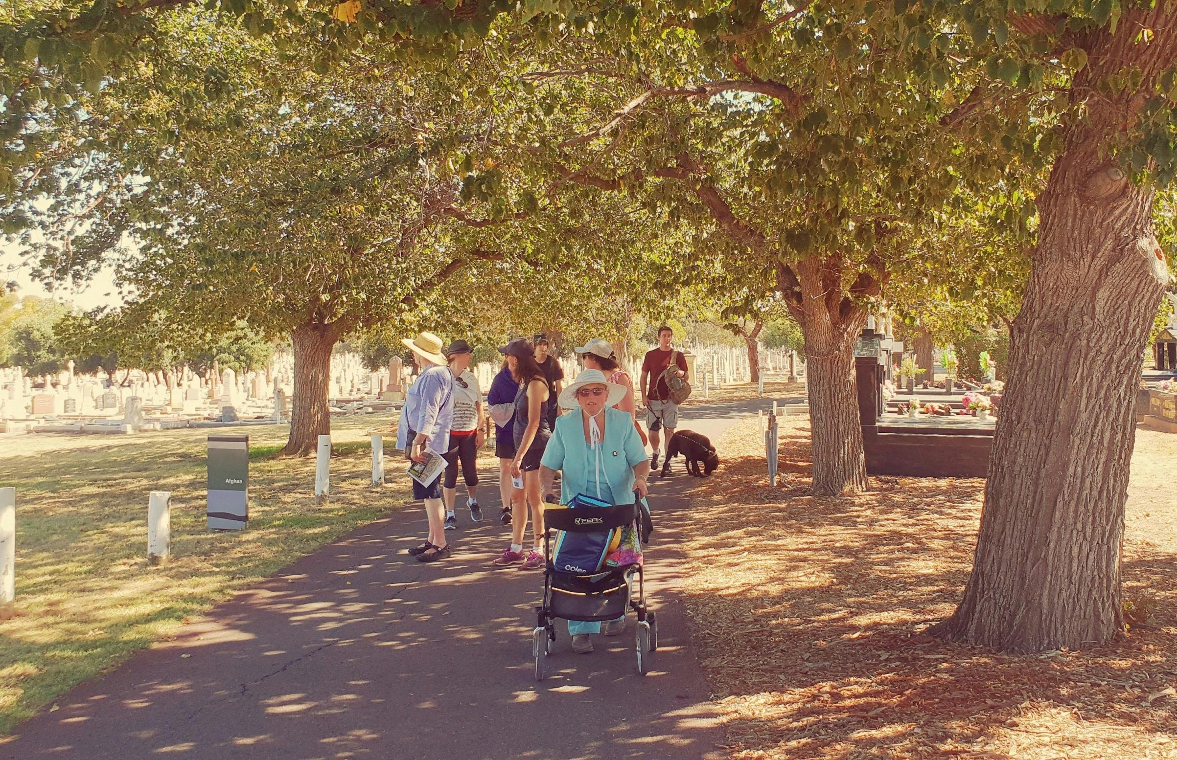 Guided Walk through GS Kingston Park /Wirrarninthi (Park 23) including West Tce Cemetery