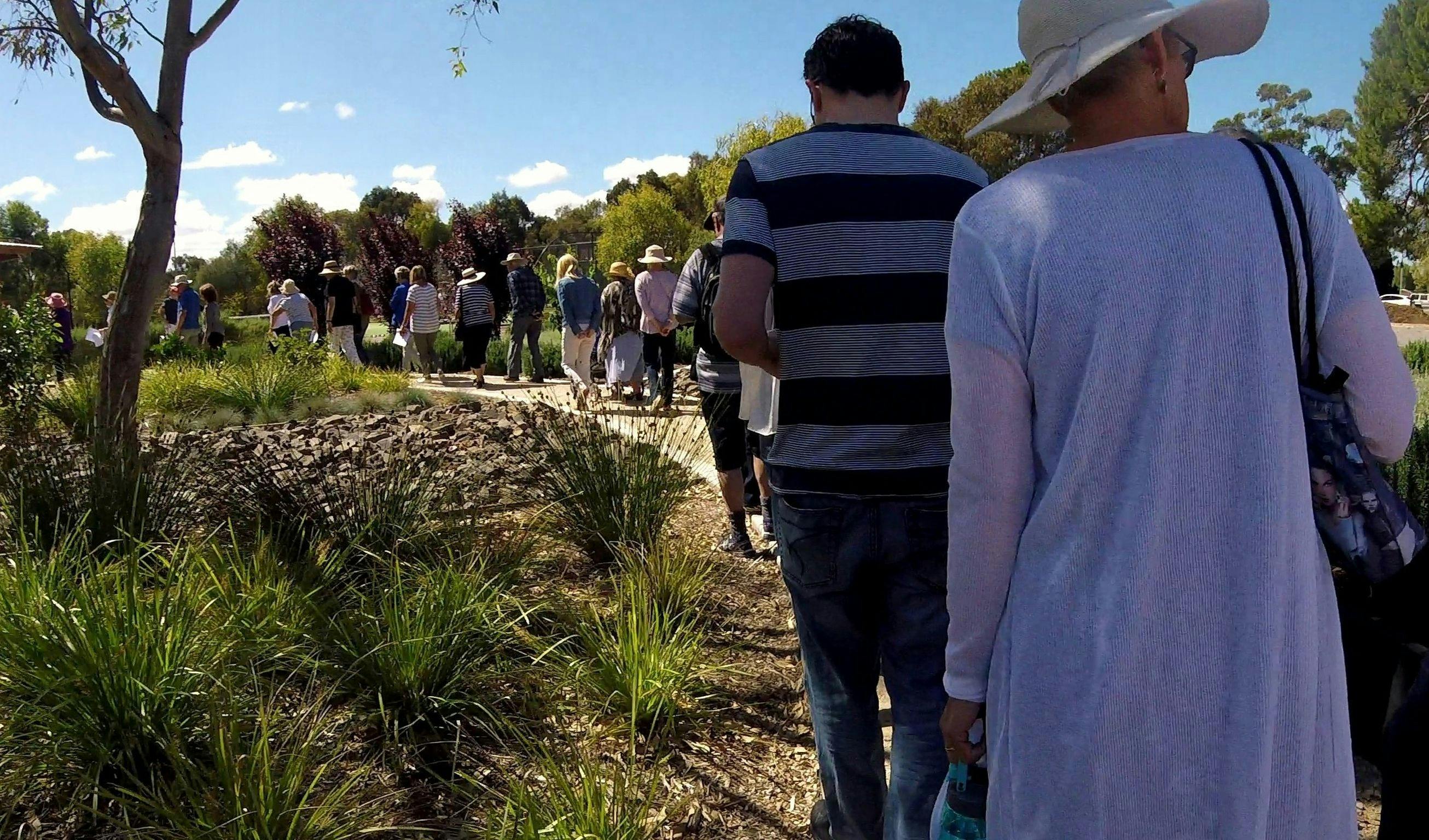 Guided Walk through Bundey's Paddock / Tidlangga (Park 9)