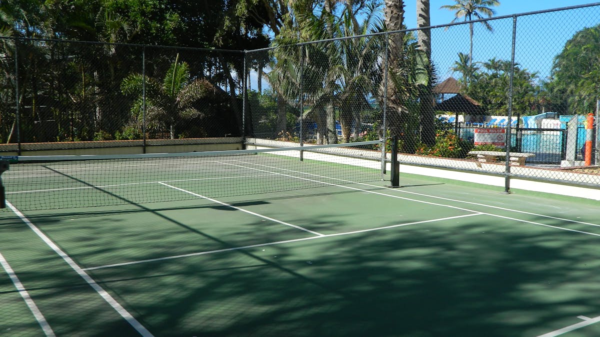 Royal Palm on the Beach