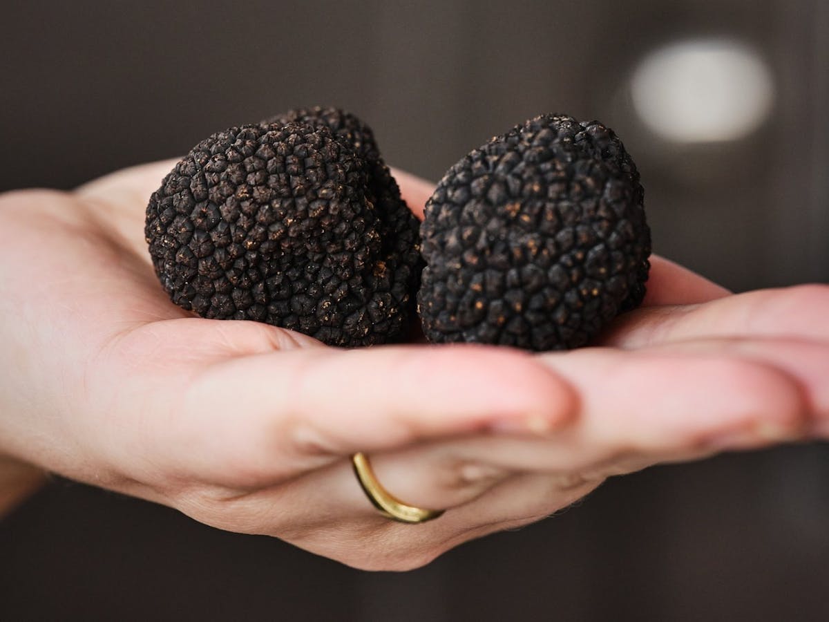 truffle