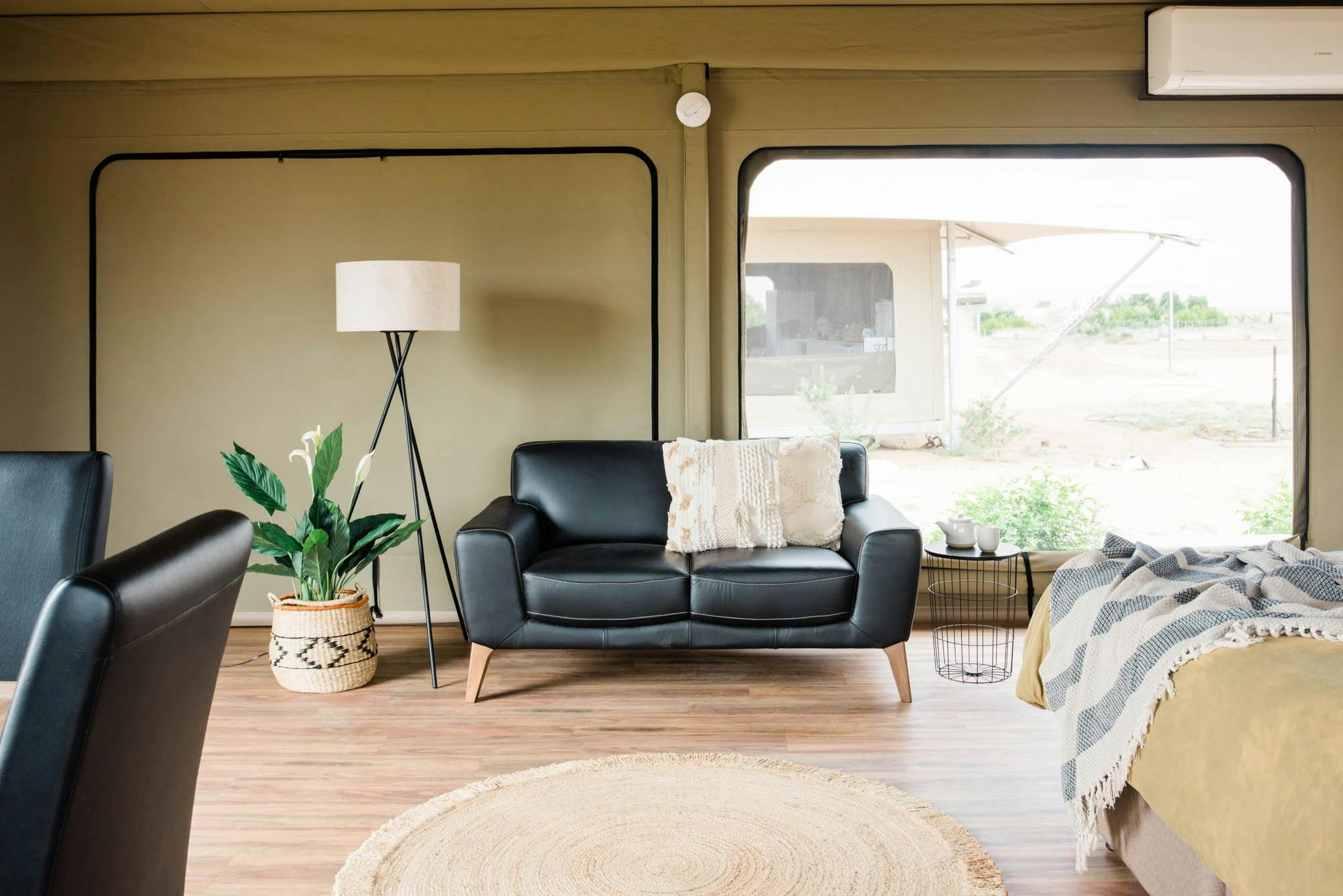 Black leather lounge with floor lamp and green plant in basket next to it