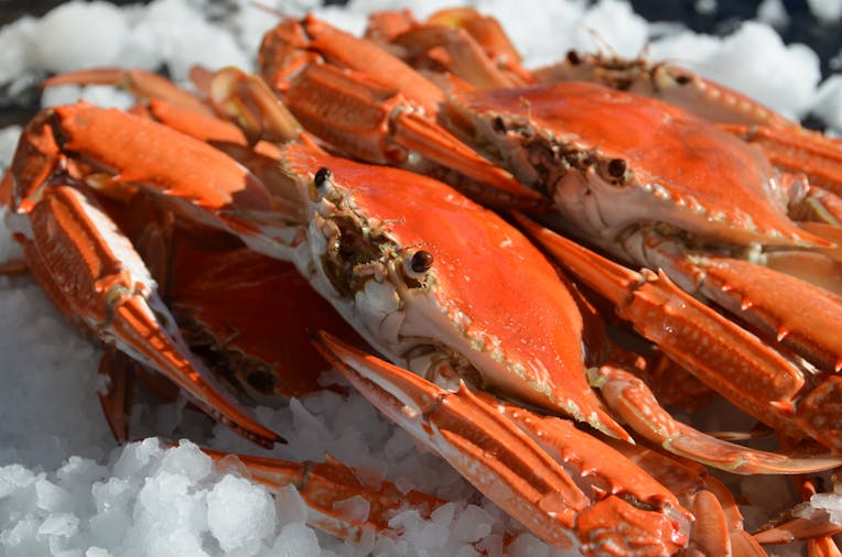 Seafood on Spencer