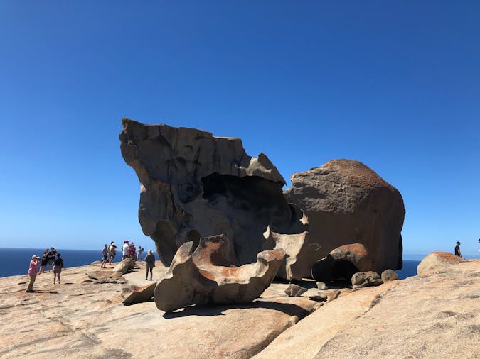 Kangaroo Island Experience
