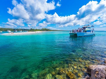 杰維斯灣 (Jervis Bay) 野生動物