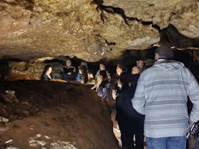 Inside the Naracoorte Caves chamber