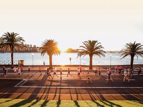 HOKA Runaway Sydney Half Marathon Cover Image