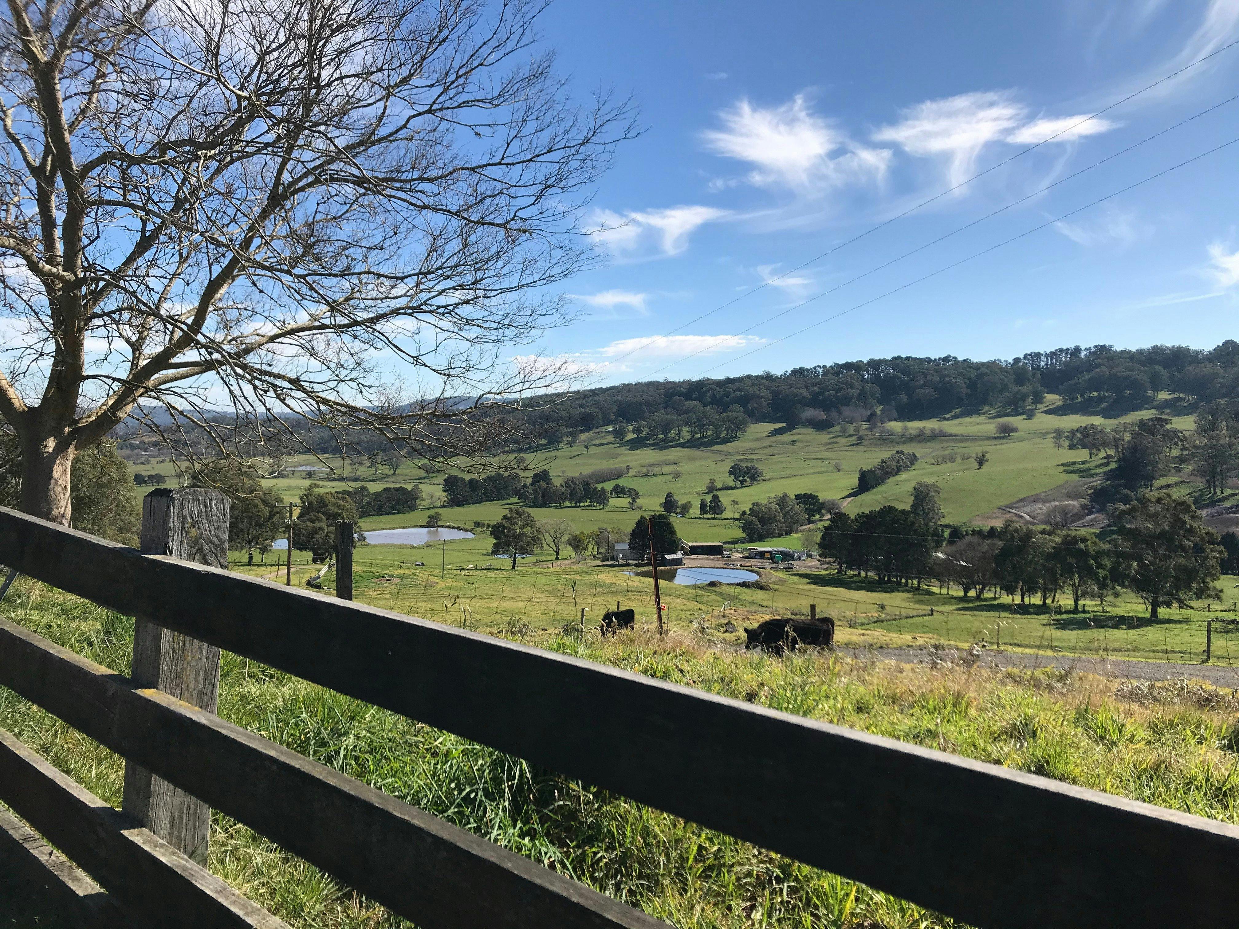 Scenic country views