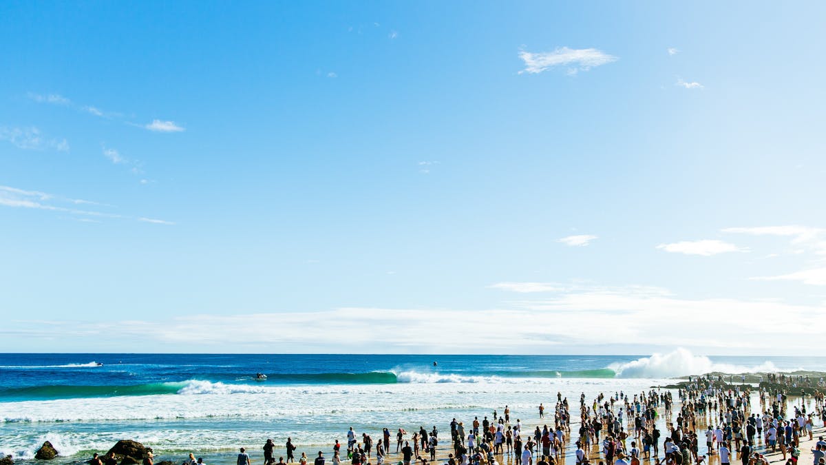 Snapper Line Up