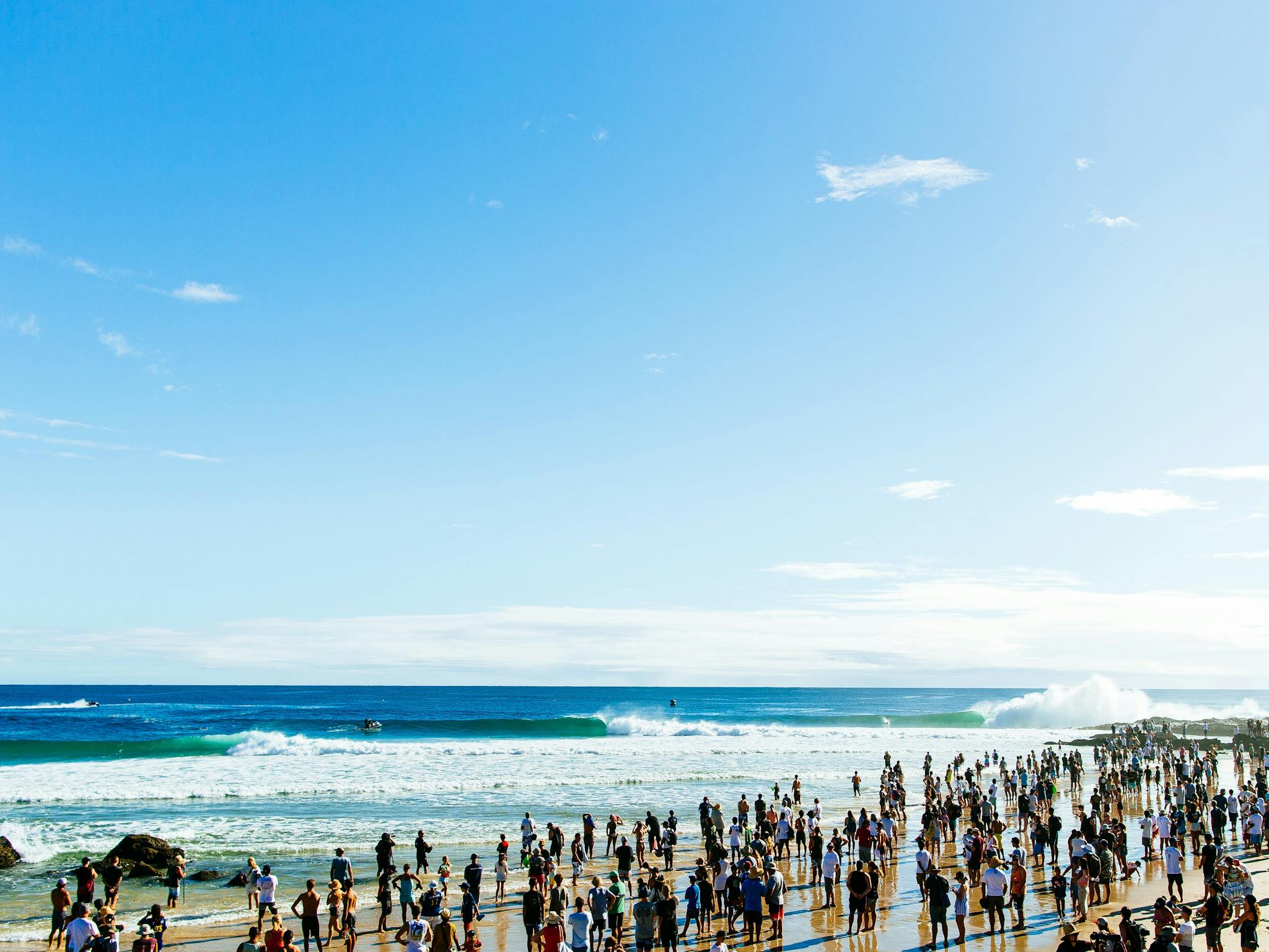 Snapper Line Up Snapper Line Up