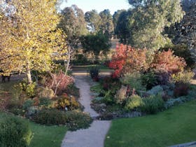 Front garden in Autumn