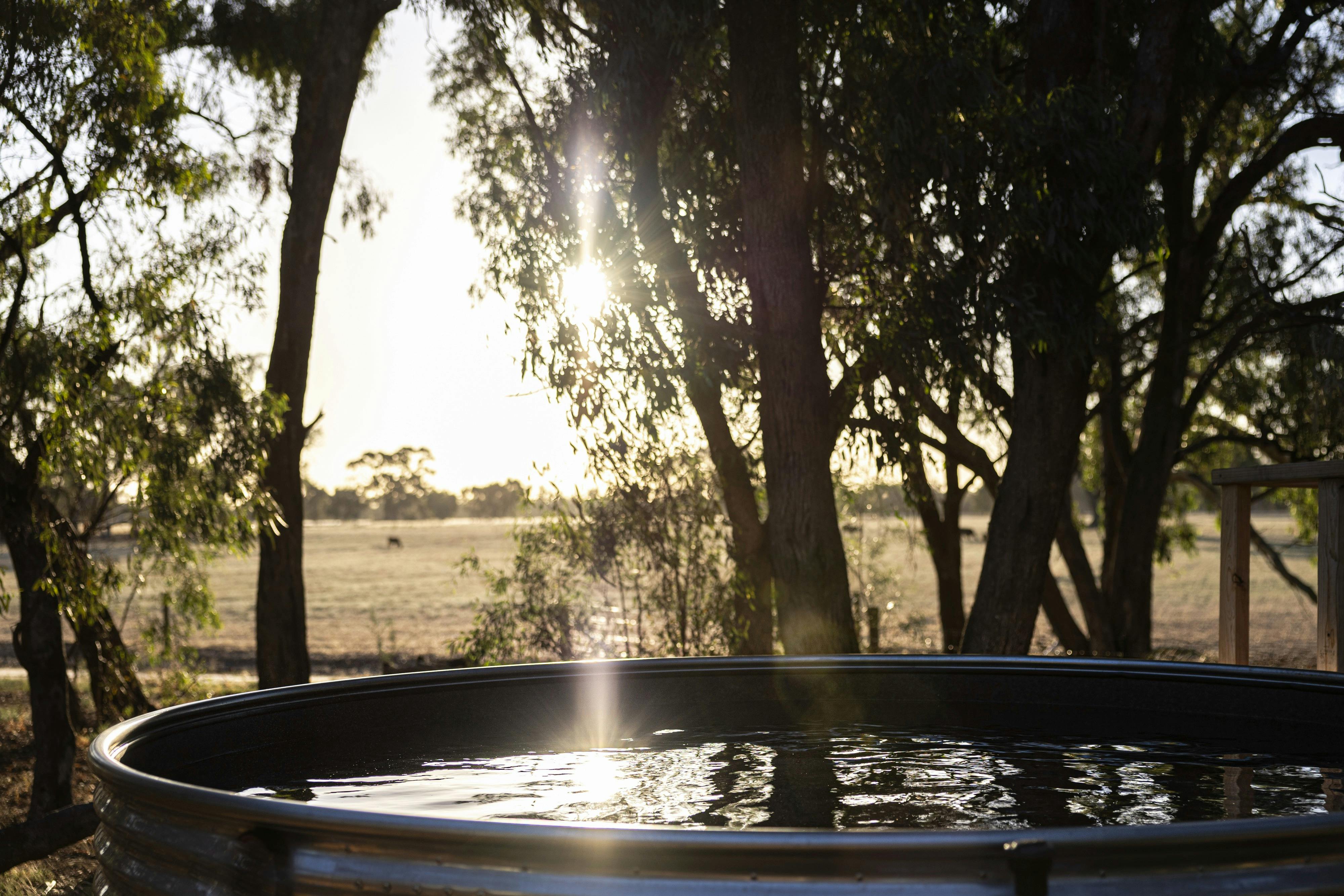 我们的温水游泳池配有水疗喷头，可以欣赏围场和夕阳的美景。