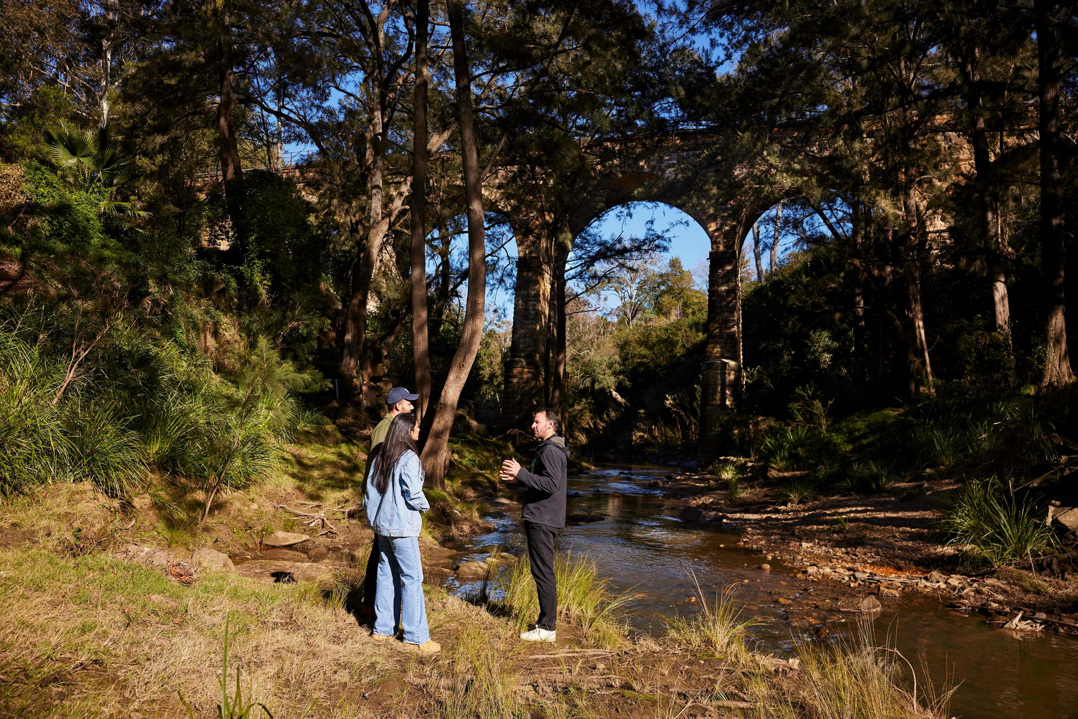 ピクトンを発見