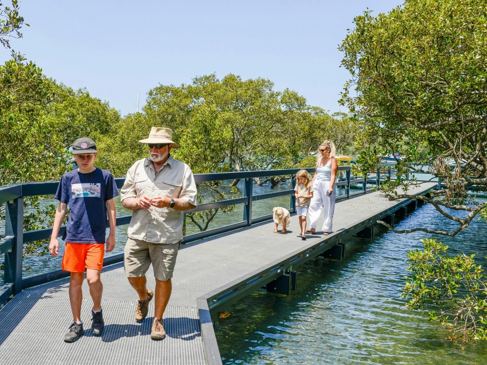 Guided Tour along the Mangrove Board Walk Huskisson