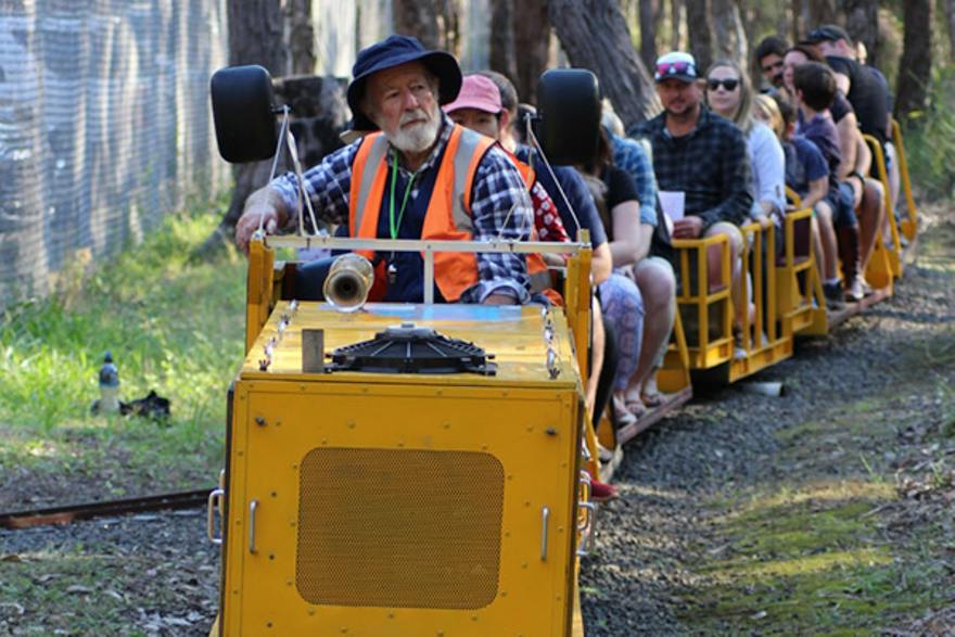 Mini train