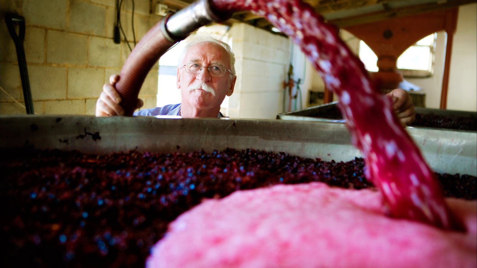 Helm Wines