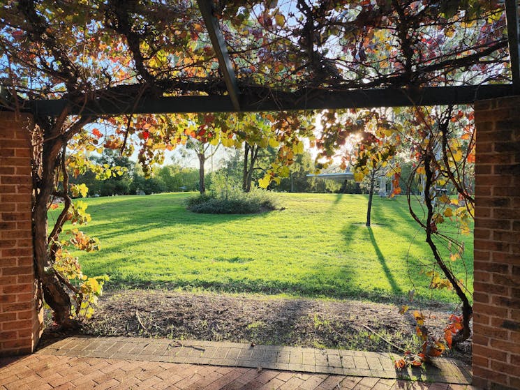 Burley Griffin Community Gardens Pergola