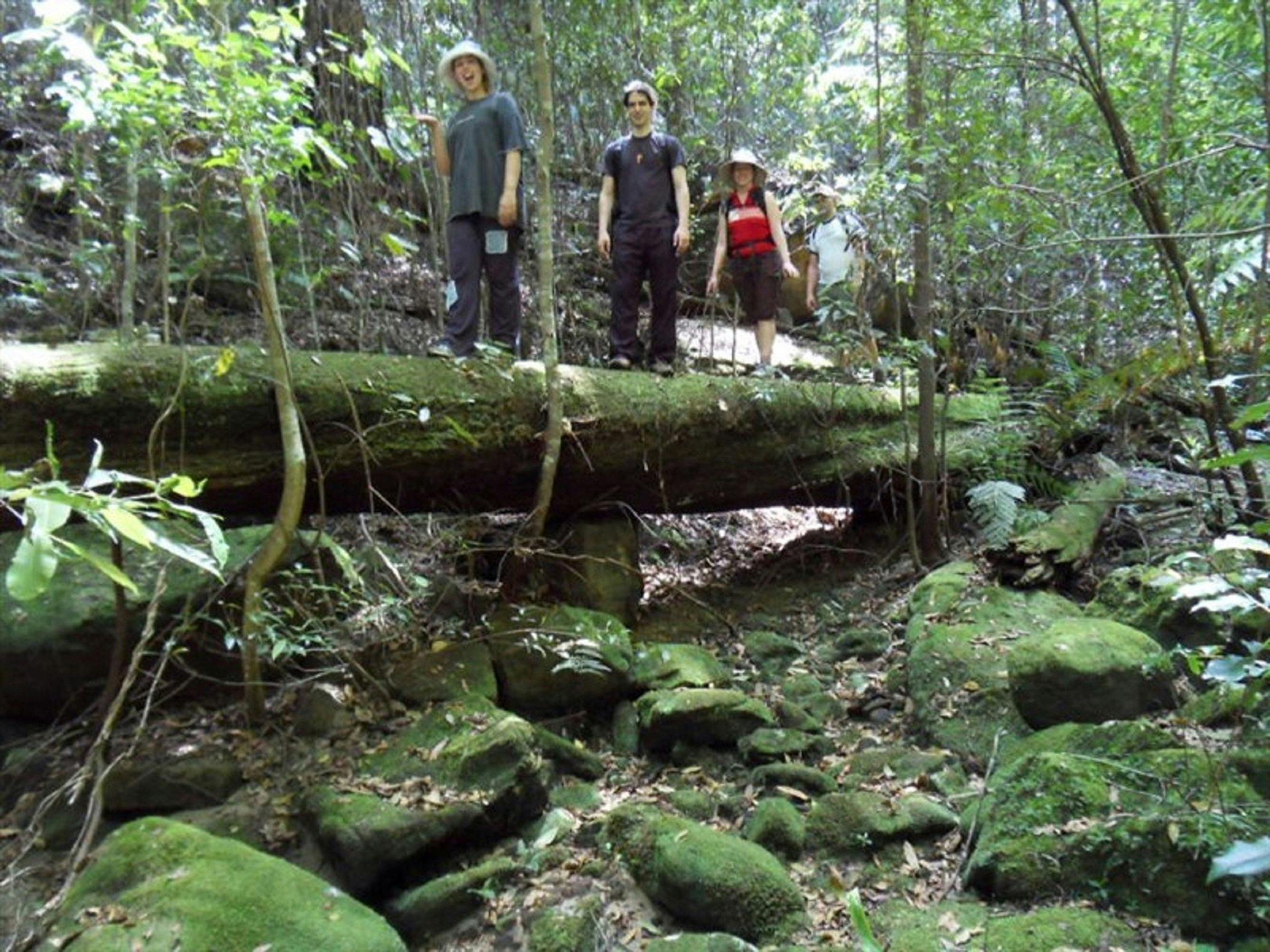 Aboriginal Blue Mountains Walkabout Tour