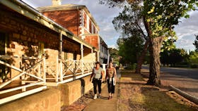 Lambie Town Walk