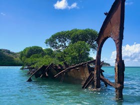 SS Adelaide wreck with mangroves