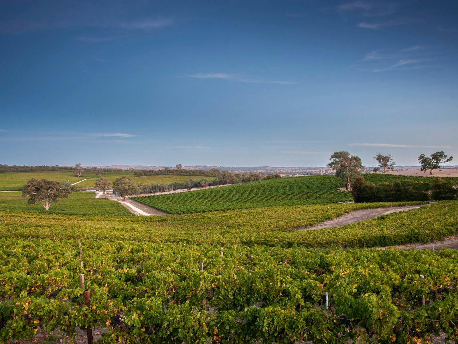 Irvine Wines: Become the Winemaker - Wine Blending Experience with Lunch