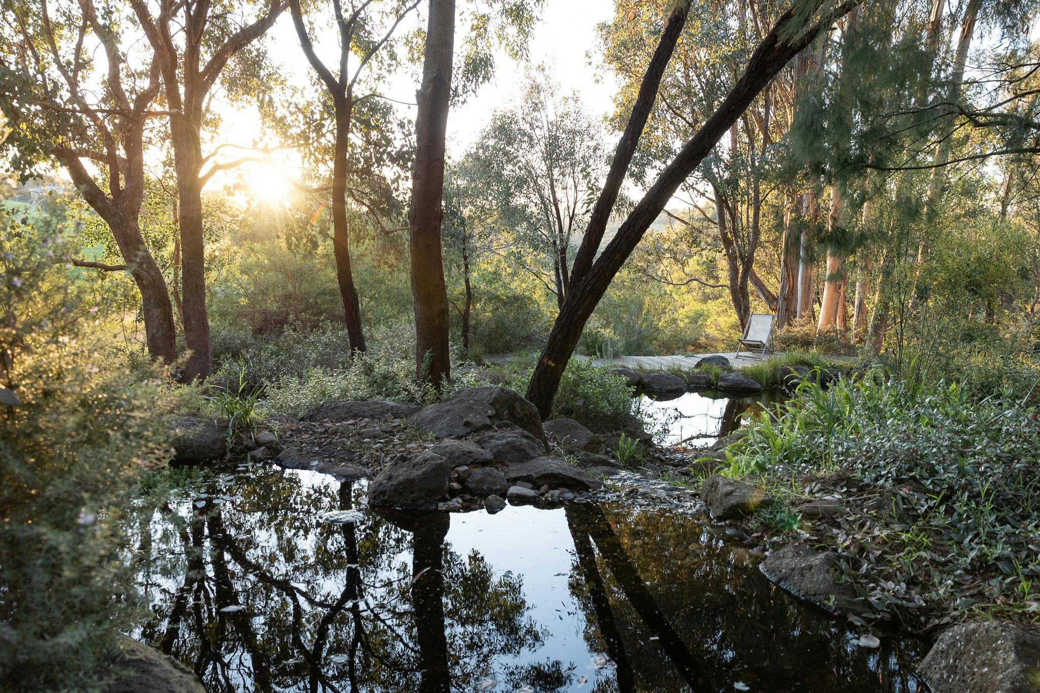 Open Gardens Victoria - Sam Cox: Wattle Glen Garden, view of the pond