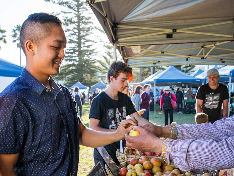 Kiama-Farmers-Market-Credit-DNSW