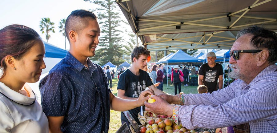 Kiama-Farmers-Market-Credit-DNSW