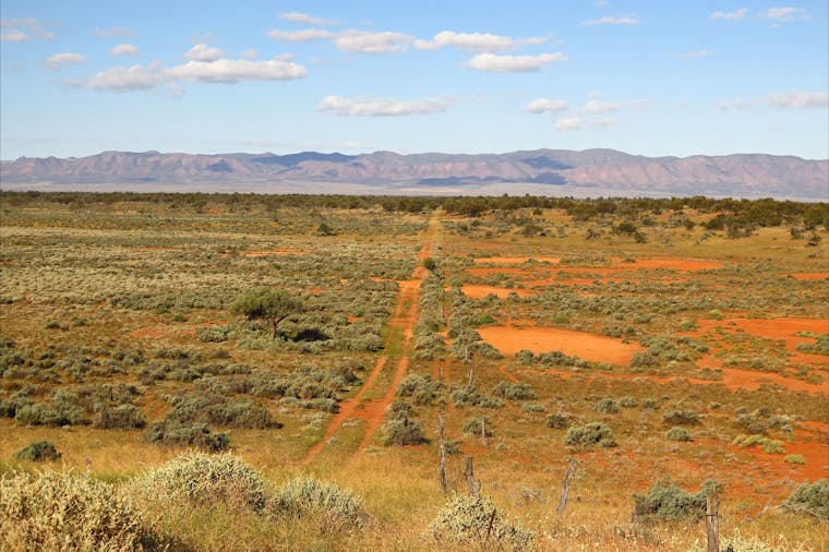 Flinders Outback Half Day Tour