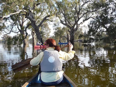 Gum Swamp Reserve Walla Walla