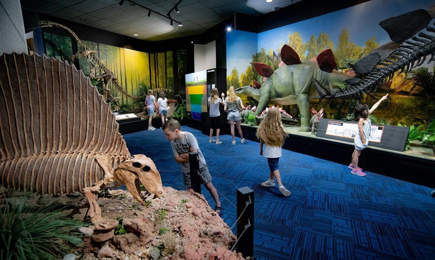 Mega Fossil Weekend at the National Dinosaur Museum | HerCanberra