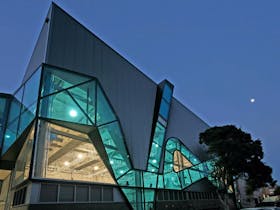 National Institute of Circus Arts (NICA)