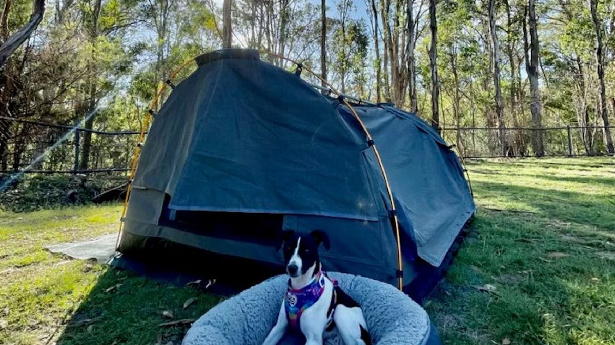 A puppy in it bed ouWe are a pet friendly campgroundstside a camp tent as