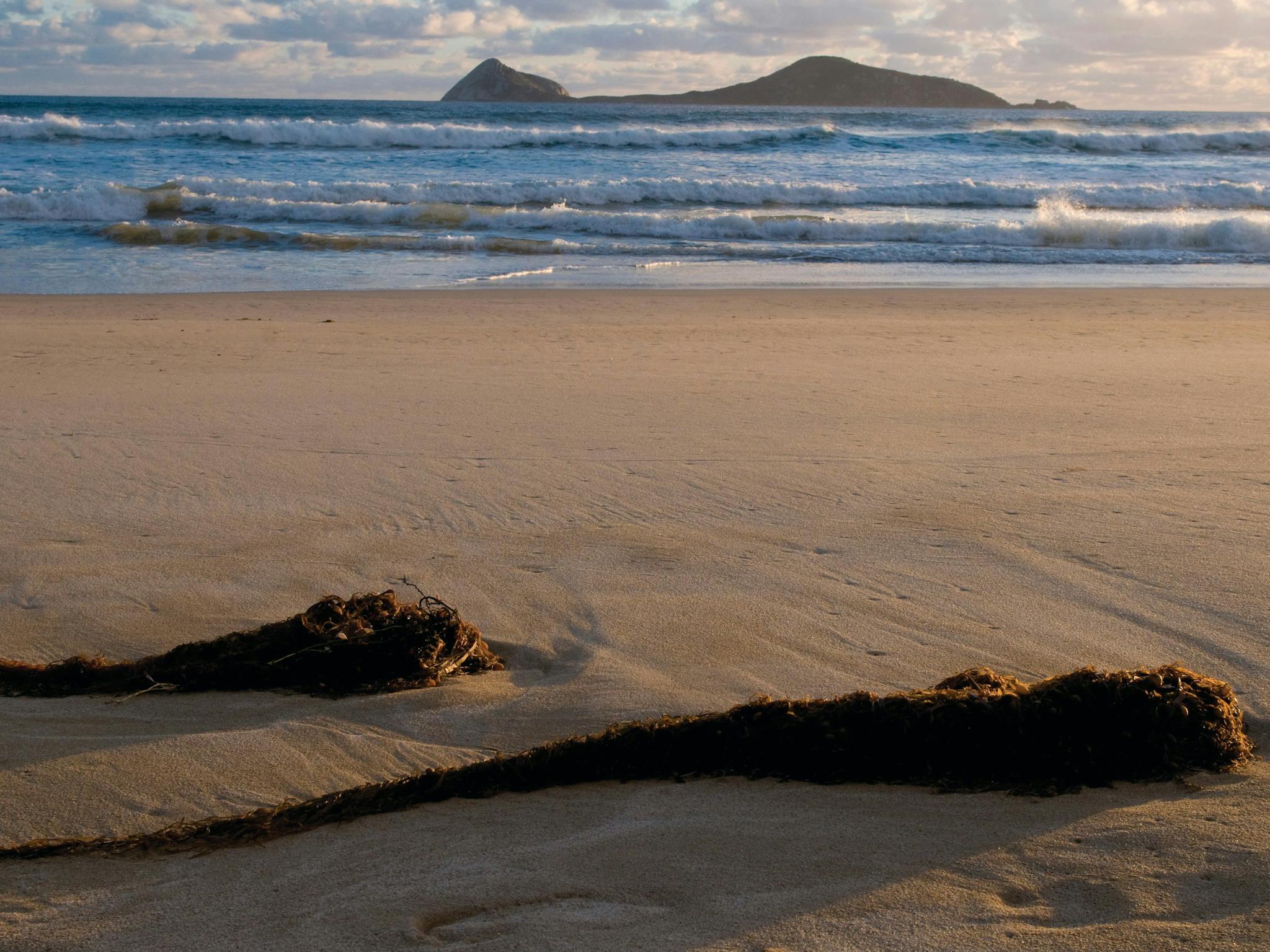 Wilsons Promontory National Park