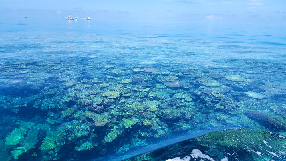Pro Dive Magnetic Island